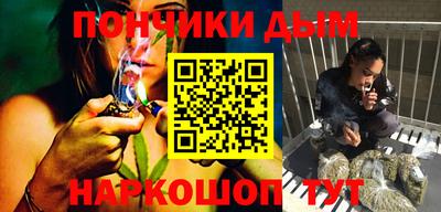 крисы Ирбит
