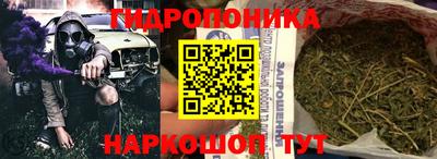 крисы Ирбит