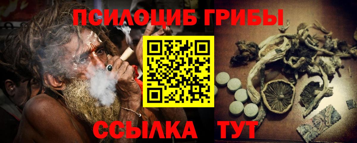 Псилоцибиновые грибы Cubensis Вышний Волочёк