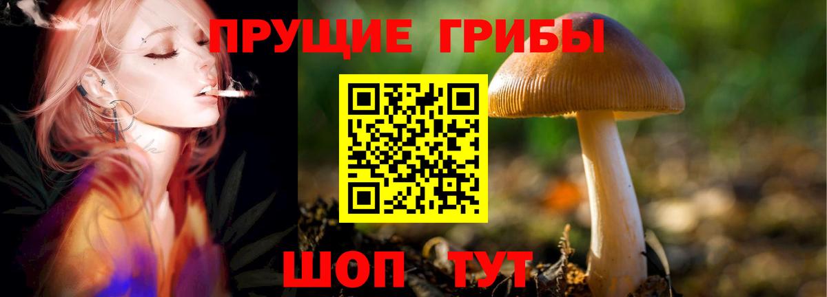 Псилоцибиновые грибы Psilocybine cubensis  Вход с VPN  Вышний Волочёк  Галлюциногенные грибы GOLDEN TEACHER 